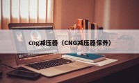 cng减压器（CNG减压器保养）